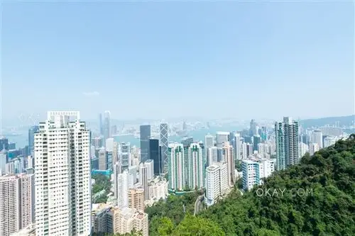 白加道22号 22 barker road物业出租, 山顶 | 屋企 okay.com