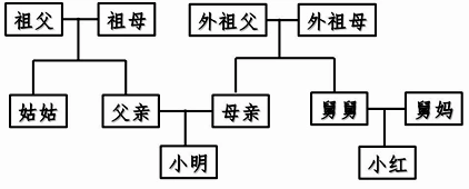①家庭成员关系示意图