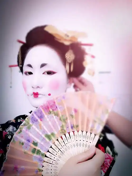 日本艺伎的世界一直是神秘的.她们的行业被称为"花柳界".