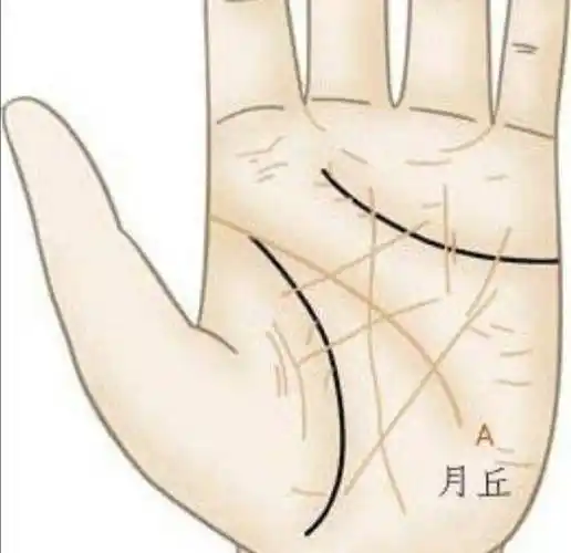 一个女人的恋爱观以及性格如何,可以通过手相看出来_手机搜狐网