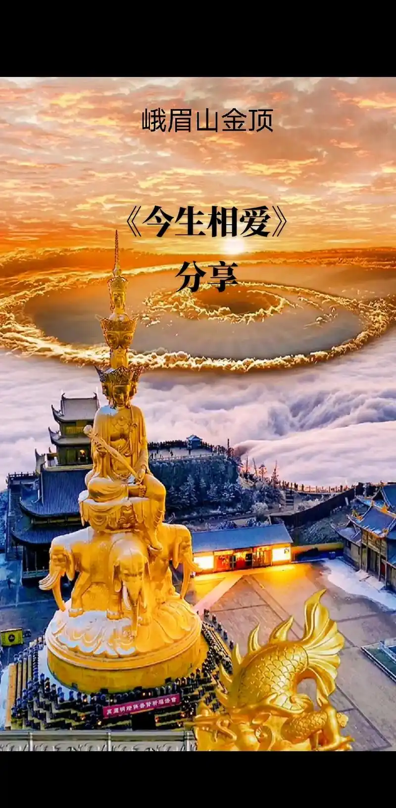 今生相爱 把爱绘成最美的风景,分享给今生相爱的人#伤感情歌 - 抖音