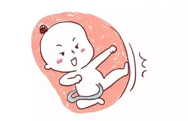 胎宝宝每天在妈妈肚子里干嘛宝宝真的超忙不信来看