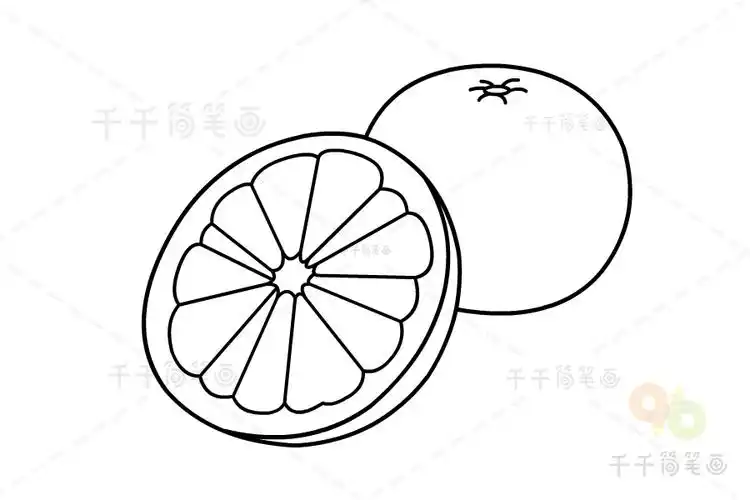 新鲜的西柚简笔画
