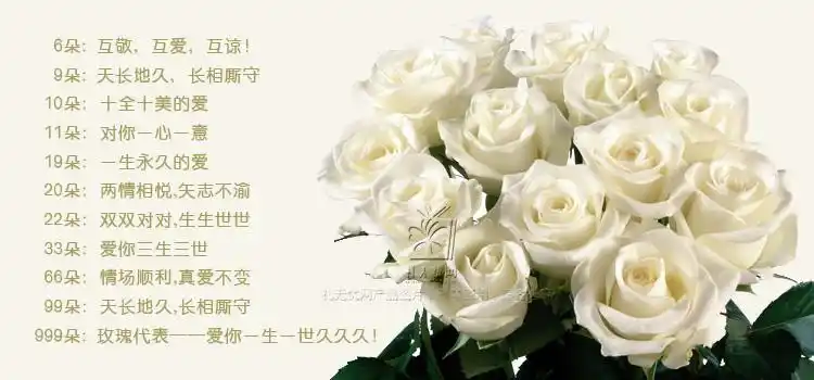 相约永久 29支白玫瑰 紫色勿忘我围绕 情人节礼物 送女朋友 送老婆