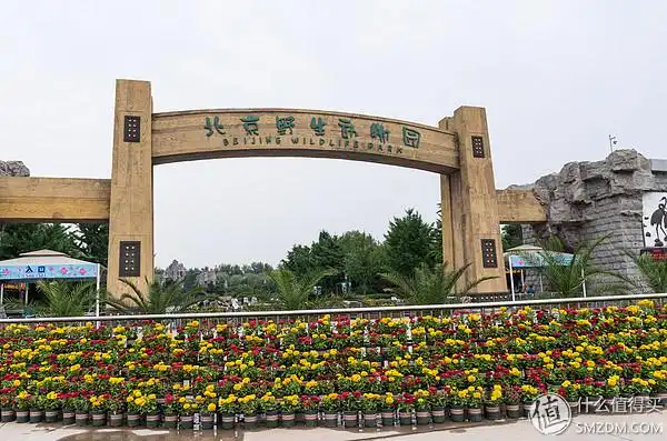 暑假好去处:与动物们的亲密接触——北京大兴野生动物园一日游