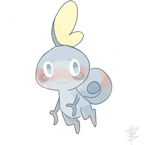 泪眼蜥真的太可爱了