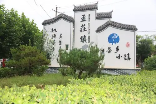 市中区孟庄镇:打好镇域路域攻坚战 提升群众"幸福感"