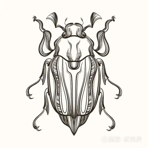 手绘雕刻甲虫五月虫素描. 矢量插图