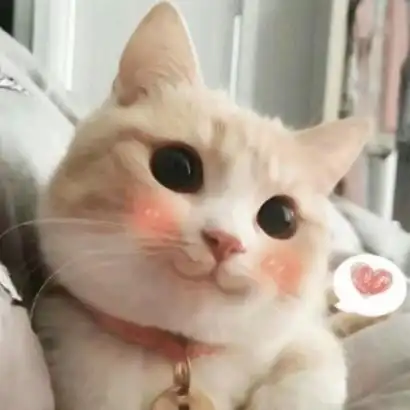 爆笑恶搞喵星人带字卖萌头像9-微信头像