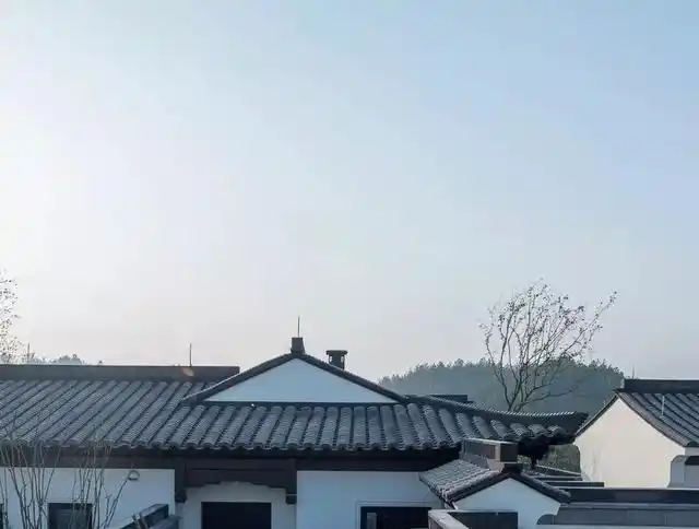 绿城浙江安吉桃花源·方竹园|简约线条刻画中式风骨