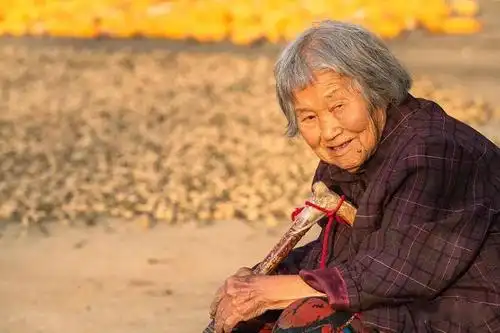 八旬老奶奶,坐在凳子上看晒场,玉米花生铺满地.