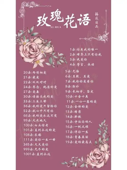 数字花语大全_数字花语大全 寓意