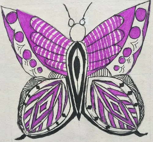 禅绕画之一蝴蝶