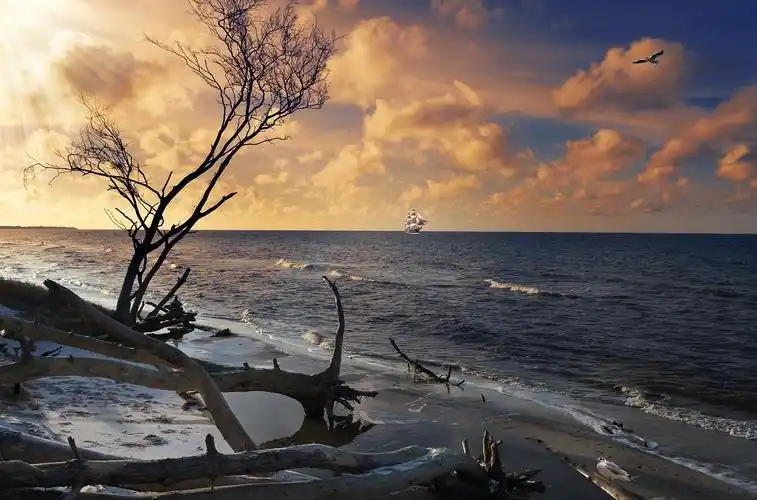 海,海岸,波罗的海