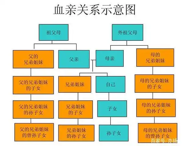 所谓的三代是指从外祖父母那一代开始,到我们这一代截止,在这个范围内