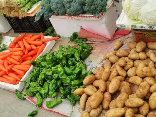 别看这儿还不是菜市场,但是摆地摊卖的菜,那可真是特别丰富.
