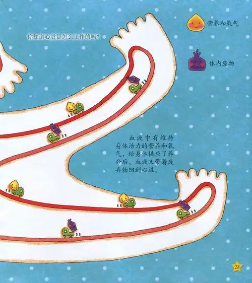 儿童绘本故事推荐《我运动我健康》