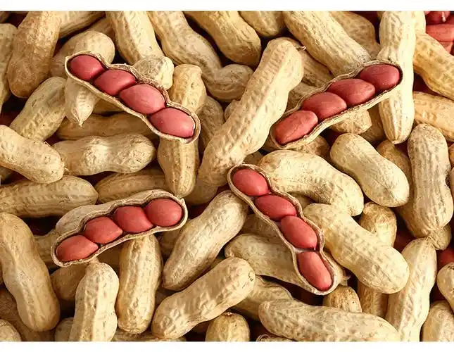 红皮花生米生新鲜晒干带壳花生种子原味散装四粒红衣花生5斤 生的红皮