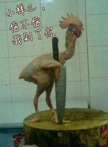 够了你这只鸡佬公鸡微信表情包搞笑图片表情