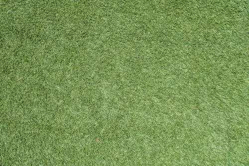 草坪草地纹理背景高清图片