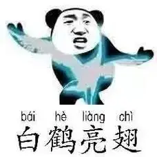 白鹤亮翅熊猫头太极拳招式熊猫头太极拳表情