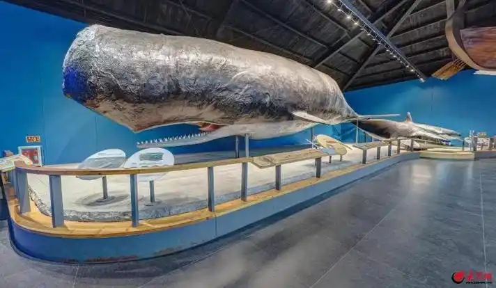 青岛水族馆亦称青岛海产博物馆,青岛海洋科技馆,是我国海洋科普的重要