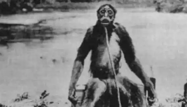 大兴安岭突现野人行径抓捕后意外发现世外文明传说生物被活捉