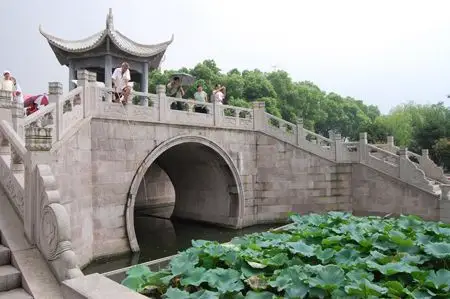 走进锦绣瓜沥 感受古镇活力