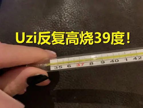 uzi病情反复高烧39度女友忙发通知隔离史森明72小时不许见面