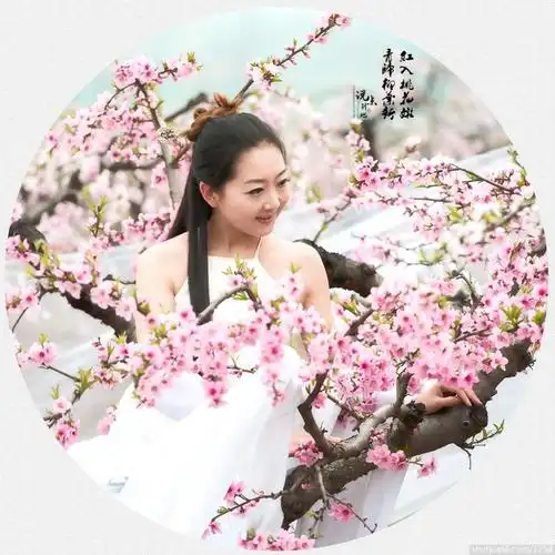 timg (60) - 桃花女 - 相册 - 方馨丽 - 书画家园