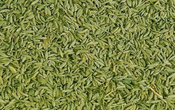 孜然是什么?有什么健康功效和作用?