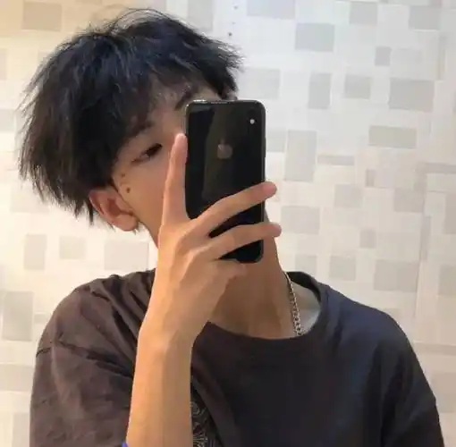 手机对镜自拍挡脸头像