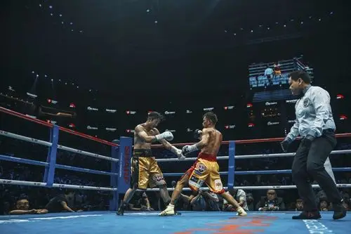 邹市明被日本拳手击倒痛失拳王金腰带 透露退役想法