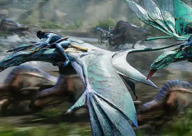 阿凡达男主角-阿凡达男主角,阿凡达,男,主角 - 早旭阅读