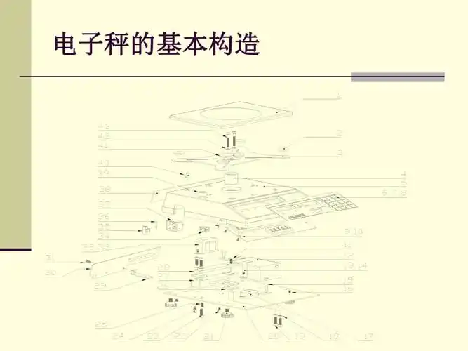 电子秤的基本原理