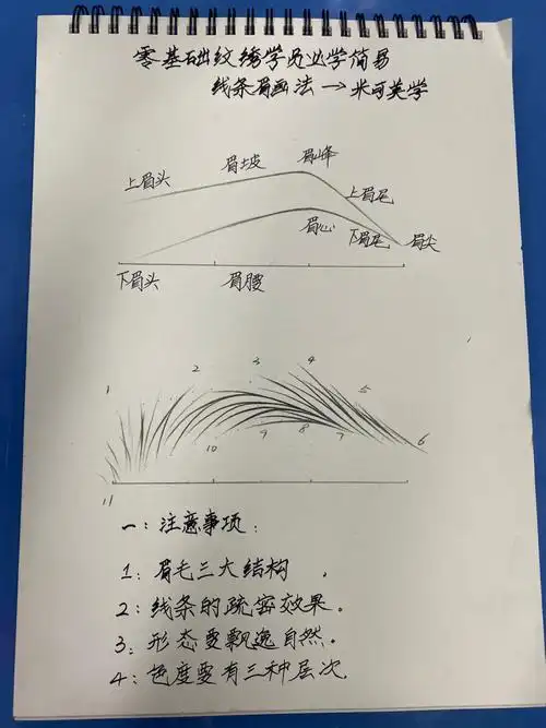 眉毛三大结构2.线条的疏密效果3.形态要飘逸自然4.