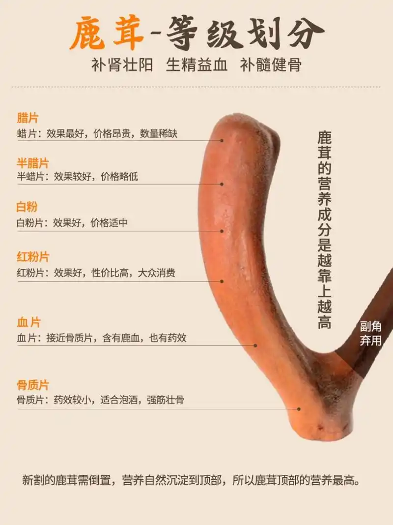 鹿茸有哪几种吃法 鹿茸片的功效与作用  降低血压 服用鹿茸片,可以