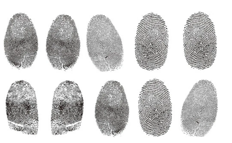 一斗穷,二斗富?康熙10个"簸箕",科学家们发现指纹的奥秘