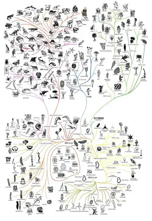 地球上的生命,从最原始的无细胞结构生物进化为有细胞结构的原核生物