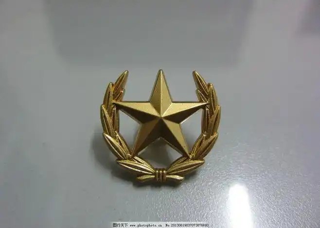 07式橄榄枝领花