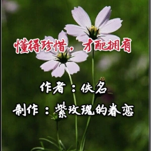 一生无悔 懂得珍惜,才配拥有