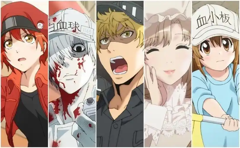 盘点《工作细胞》所有出场细胞!突然好想和自己的细胞恋爱.