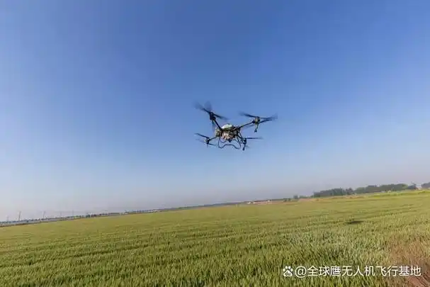 大疆植保无人机t60评测