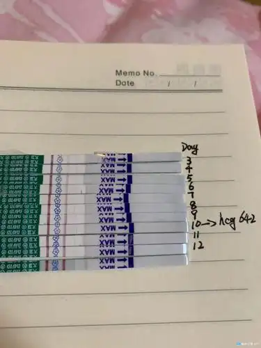 [试管婴儿]双囊胚移植第13天,终于接近强