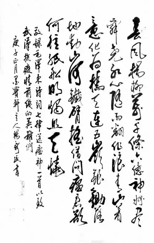 中国当代著名书法家杨新民