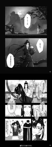 魏无羡,蓝忘机.江澄