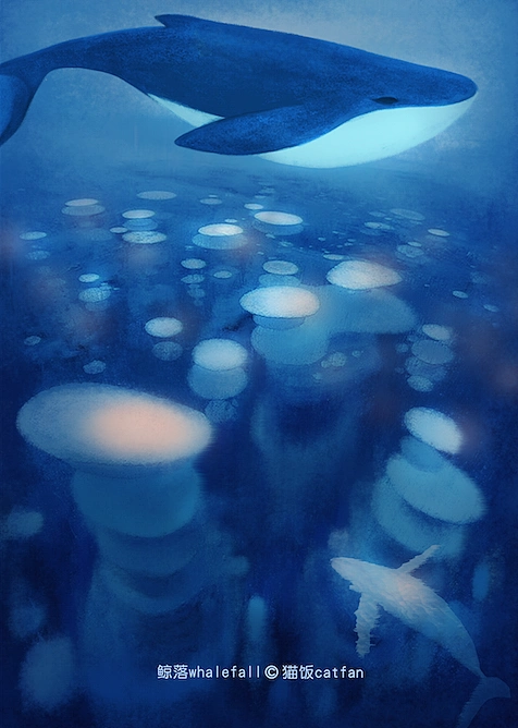 鲸落whalefall Ⅰ