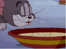 你争我抢但最后才明白猫不是找不到老鼠而是对老鼠的的偏爱小时候