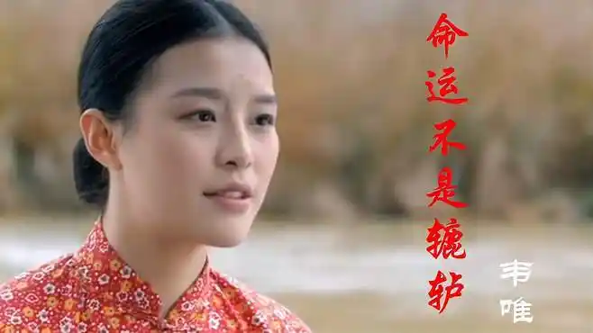 韦唯经典歌曲《命运不是辘轳》,感人肺腑的歌声唱出了生活的心酸-音乐