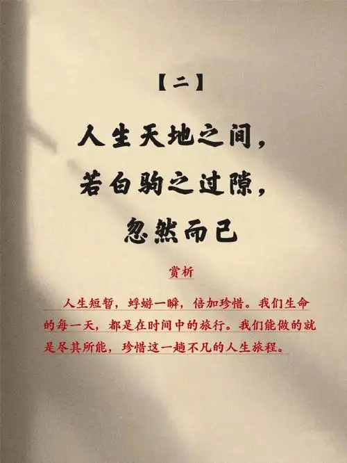庄子的圣贤智慧#庄子10句经典名言,感悟庄子人生智慧!